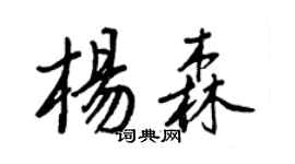 王正良杨森行书个性签名怎么写
