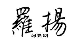 王正良罗扬行书个性签名怎么写