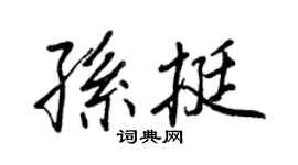 王正良孙挺行书个性签名怎么写