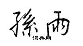 王正良孙雨行书个性签名怎么写