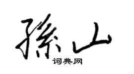 王正良孙山行书个性签名怎么写