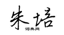 王正良朱培行书个性签名怎么写
