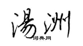 王正良汤洲行书个性签名怎么写