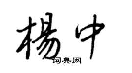 王正良杨中行书个性签名怎么写