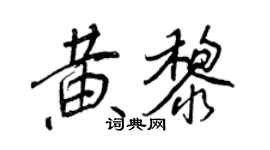 王正良黄黎行书个性签名怎么写