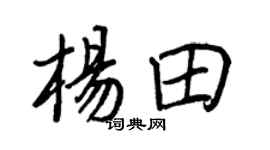 王正良杨田行书个性签名怎么写