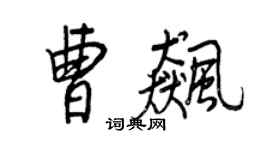 王正良曹飚行书个性签名怎么写