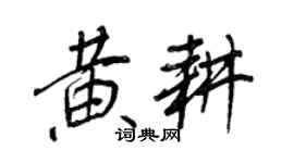 王正良黄耕行书个性签名怎么写