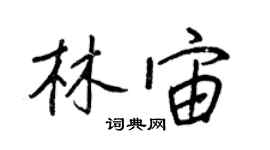 王正良林宙行书个性签名怎么写