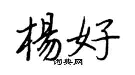 王正良杨好行书个性签名怎么写