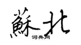 王正良苏北行书个性签名怎么写