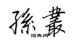 王正良孙丛行书个性签名怎么写