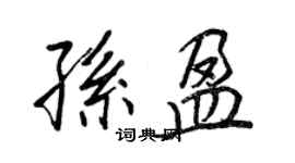 王正良孙盈行书个性签名怎么写