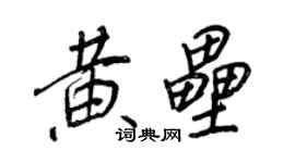 王正良黄垒行书个性签名怎么写