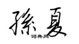 王正良孙夏行书个性签名怎么写