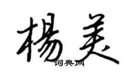 王正良杨美行书个性签名怎么写