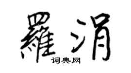 王正良罗涓行书个性签名怎么写