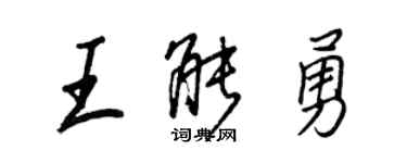 王正良王能勇行书个性签名怎么写