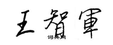 王正良王智军行书个性签名怎么写