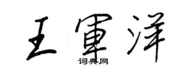 王正良王军洋行书个性签名怎么写