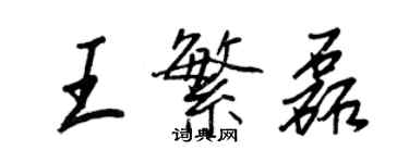 王正良王繁磊行书个性签名怎么写
