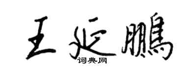 王正良王延鹏行书个性签名怎么写