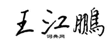 王正良王江鹏行书个性签名怎么写