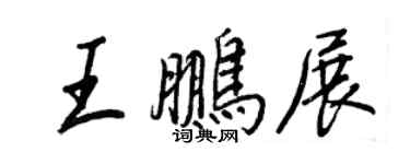 王正良王鹏展行书个性签名怎么写