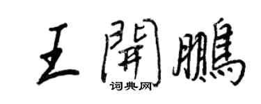 王正良王开鹏行书个性签名怎么写