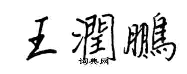 王正良王润鹏行书个性签名怎么写