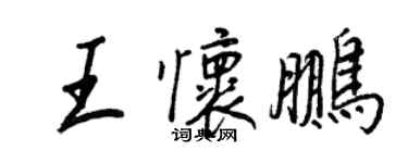 王正良王怀鹏行书个性签名怎么写