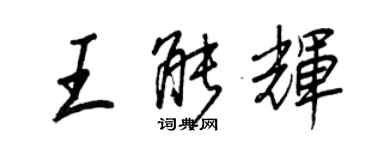 王正良王能辉行书个性签名怎么写