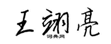 王正良王翊亮行书个性签名怎么写