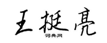 王正良王挺亮行书个性签名怎么写