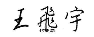 王正良王飞宇行书个性签名怎么写