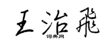王正良王治飞行书个性签名怎么写