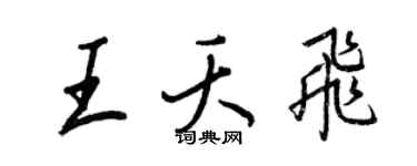 王正良王夭飞行书个性签名怎么写