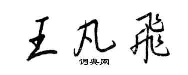 王正良王凡飞行书个性签名怎么写