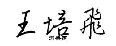 王正良王培飞行书个性签名怎么写