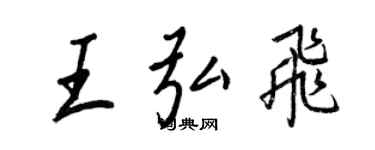 王正良王弘飞行书个性签名怎么写