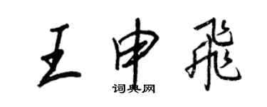 王正良王申飞行书个性签名怎么写