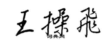 王正良王操飞行书个性签名怎么写