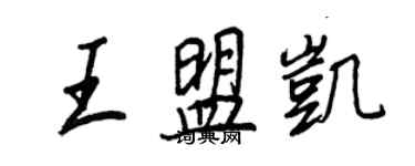 王正良王盟凯行书个性签名怎么写