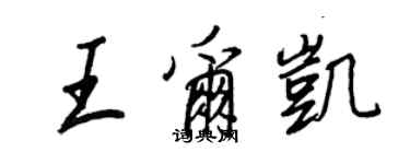 王正良王尔凯行书个性签名怎么写