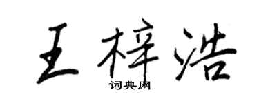 王正良王梓浩行书个性签名怎么写