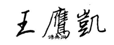 王正良王鹰凯行书个性签名怎么写