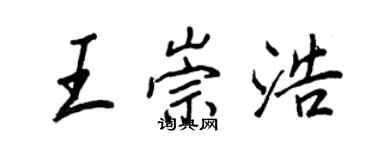 王正良王崇浩行书个性签名怎么写