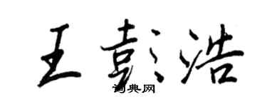 王正良王彭浩行书个性签名怎么写