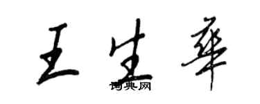 王正良王生华行书个性签名怎么写