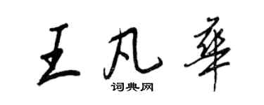 王正良王凡华行书个性签名怎么写